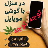کاردر منزل مخصوص اشخاص با انگیزه