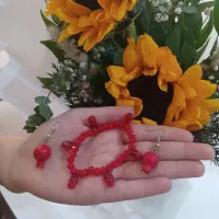 اکسسوری یلدایی|بدلیجات|رشت, باهنر|دیوار