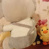 ۵ عدد عروسک خارجی پارچه نانو|اسباب‌‌بازی|سنندج, |دیوار