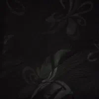 چادرمشکی گلدار|لباس|مشهد, حرم مطهر رضوی|دیوار