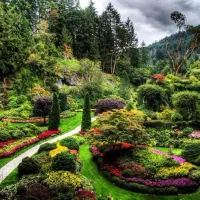 سرمایه گذاری روی ایده ای شما