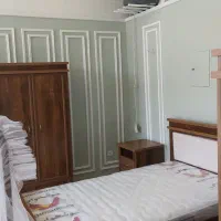 تزئینات و نقاشی ساختمان|خدمات پیشه و مهارت|رفسنجان, |دیوار