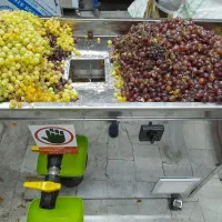 فروش دستگاه آبلیمو و آبغوره‌گیری برقی، نو