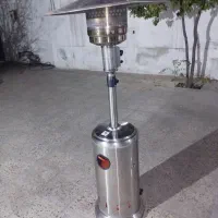 بخاری قارچی مارک مینگزی