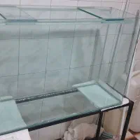 آکواریوم