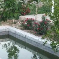 باغ