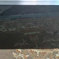 ماکروفر الجی