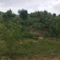فروش باغ