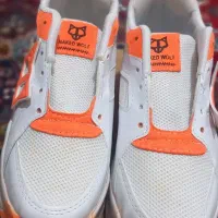 کفش کتانی دخترونه برند NAKED WOLF