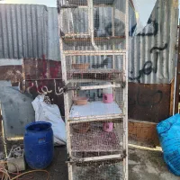 جفتگاه 5 طبقه چرخ دار