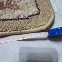 دو عدد پادری|پادری|گرگان, |دیوار
