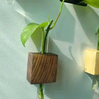 گلدان مگنتی درب یخچال