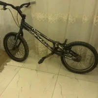 دوچرخه کوهستانی ویوا