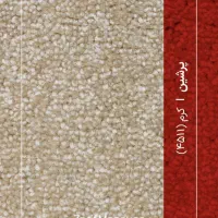 پالاز موکت کف قیمت|موکت|زاهدان, |دیوار