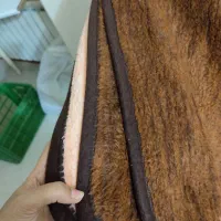 پتو|رختخواب، بالش، پتو|بهشهر, |دیوار