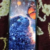گوشی شیاعومی ردمی 8|موبایل|تهران, آبشار تهران (دریاچه)|دیوار