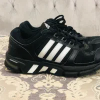 zx8000 رنگ مادر   zx اکومنت|کیف، کفش، کمربند|تهران, اسفندیاری|دیوار