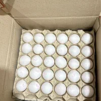 تخم مرغ عمده و شونه ای