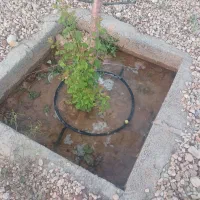 فروش باغچه زیبا و بکر|فروش زمین و ملک کلنگی|شیراز, حومه شیراز|دیوار