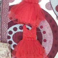 دو عدد گلبهار دخترونه