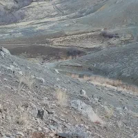 اجاره-زمین-کشاورزی-برای-کشت-نخود