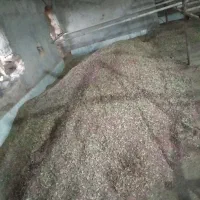 زرشک پفکی