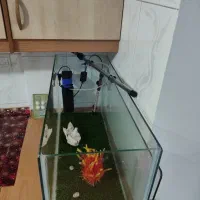 فروش اکواریم