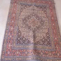 زرع و نیم کهنه مود
