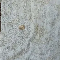 مانتو مجلسی