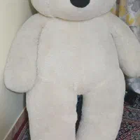 خرس شاسخین 2 متری