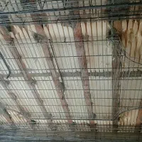 رابیس کاری داخل و نما ساختمان