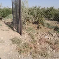 باغ انار|اجارهٔ کوتاه‌مدت ویلا و باغ|ساوه, |دیوار