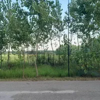 اجاره روزانه/هفتگی سوییت ۳۷ متری روستای بهمبر|اجارهٔ کوتاه‌مدت آپارتمان و سوئیت|ضیابر, |دیوار