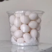 تخم کبوتر تازه وسالم