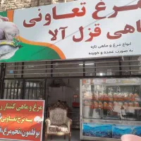 فروش وسیله مرغ وماهی|فروشگاه و مغازه|کرمانشاه, |دیوار