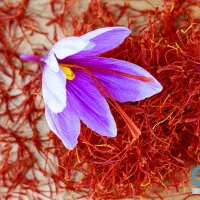 دستگاه خشک کن زعفران