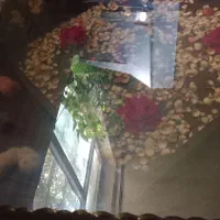 میز   عسلی  بزرگ