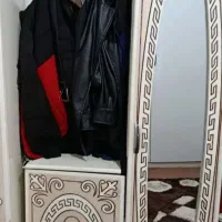 جاکفشی آیینه دار