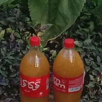 آبغوره تازه و بی نمک