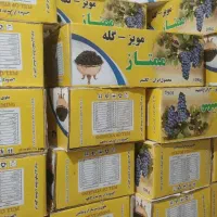 کشمش آفتابی کاشمر|خوردنی و آشامیدنی|ورامین, ورامین|دیوار