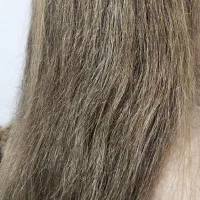 اصلاح|خدمات آرایشگری و زیبایی|خورموج, |دیوار