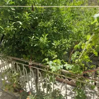 خانه-ویلایی