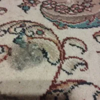 یک جفت فرش دوازده متری|فرش|مشهد, امیر آباد|دیوار