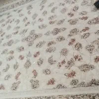 فروشی سالم نو