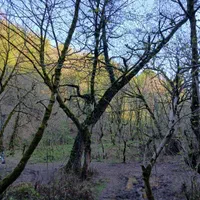 تورهای شاد وراحت بانوان|تور و چارتر|فلاورجان, |دیوار