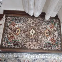 دودس پادری در طرح بسیار زیبا