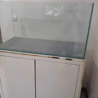 اکواریمAPA