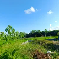 زمین-300-متر-مسکونی-دور-دیوار