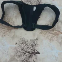 یک عدد قوز بنده