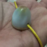 مهره ساسانی